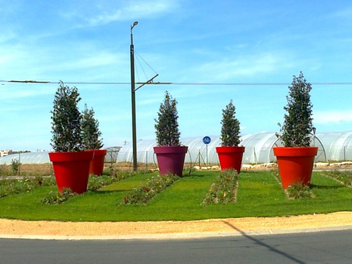 Photo rond point Auchan Caluire 6