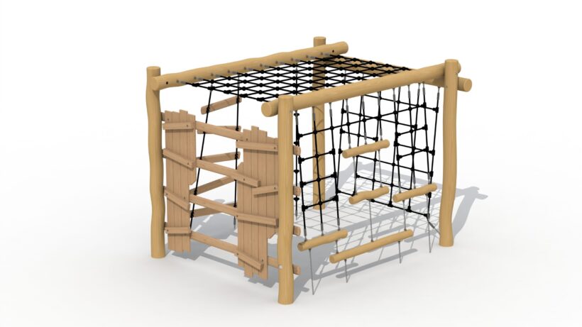 Nid d'hirondelle en robinier