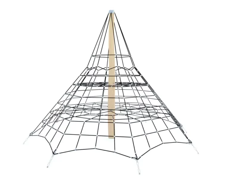 Araignée linarium et robinier